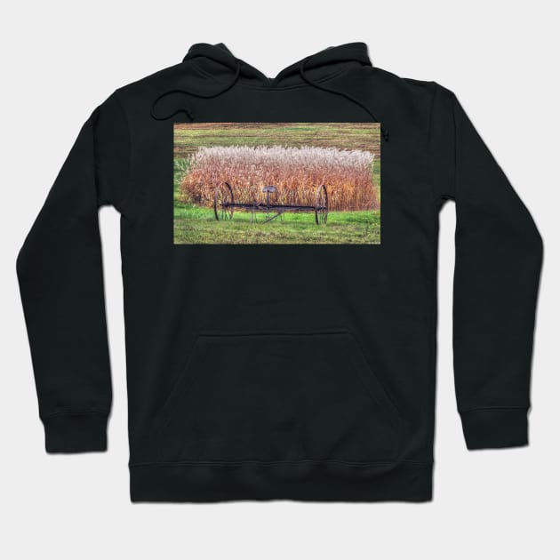 Rural Autumn Hoodie by BeanME